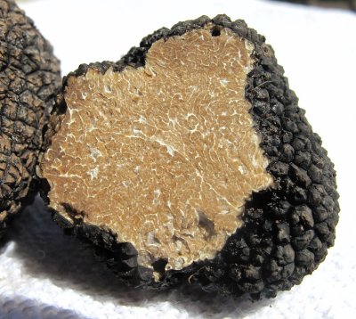 Microdosing voor beginners: voordelen en tips